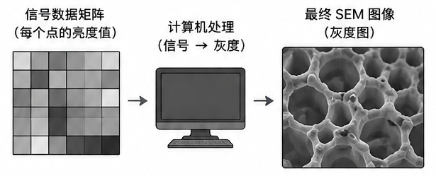 扫描电镜步骤图